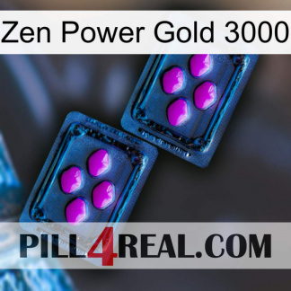 Zen Power Gold 3000 03